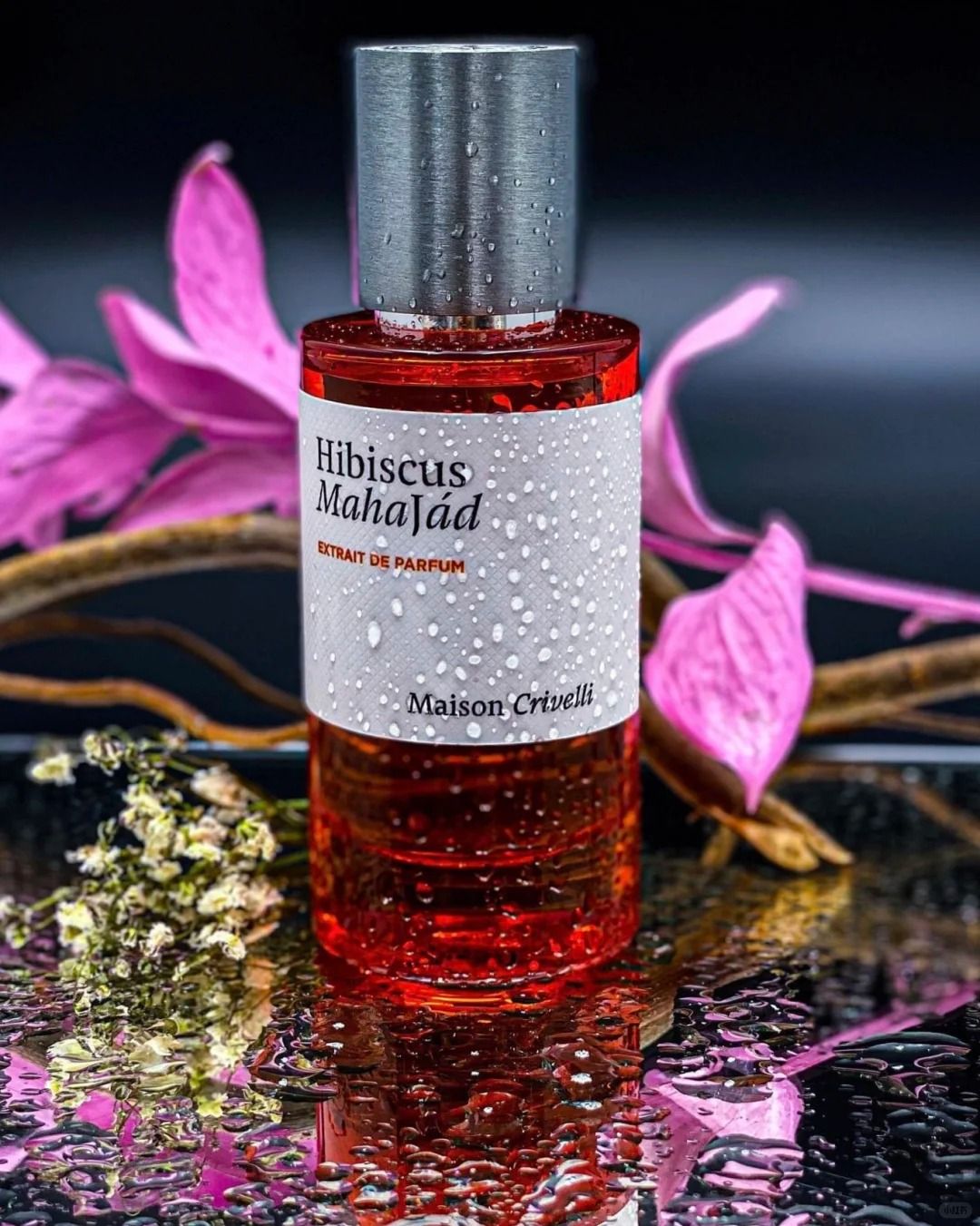 Maison Crivelli Perfume 100ml Oud Maracuja Stallion Hibiscus Mahajad Fragrance Extrait De Parfum Long Lasting Smell Brand Men Woman Cologne Spray High Quality - 6 of 8