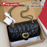 Tabby-26cm-1